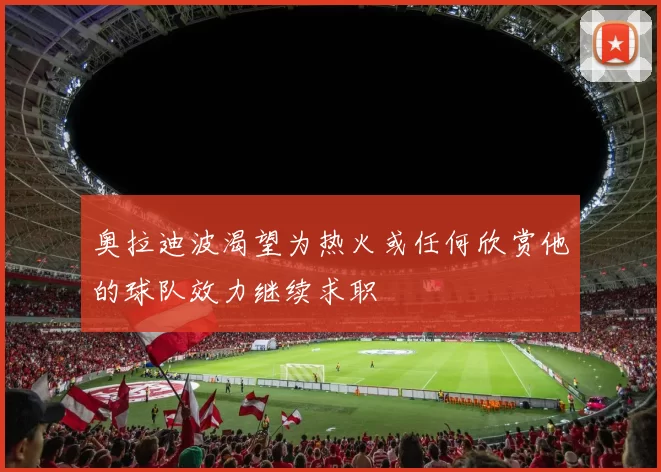 奥拉迪波渴望为热火或任何欣赏他的球队效力继续求职