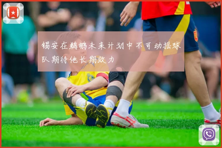 锡安在鹈鹕未来计划中不可动摇球队期待他长期效力