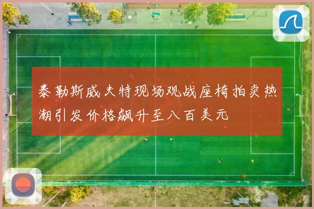 泰勒斯威夫特现场观战座椅拍卖热潮引发价格飙升至八百美元
