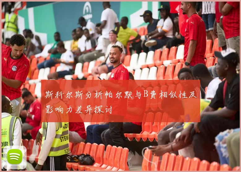 斯科尔斯分析帕尔默与B费相似性及影响力差异探讨